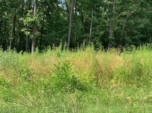 5833 Thacker Dairy Rd, Whitsett, NC 27377