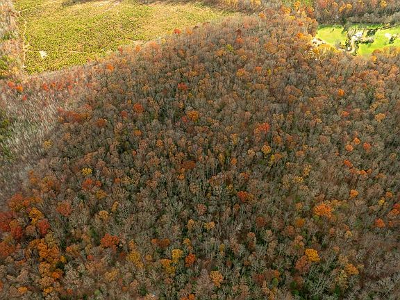 2nd image of 14100 Cedar Plantation Rd