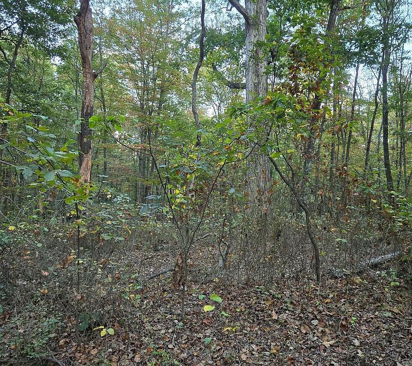 2nd image of Hungaria Rd