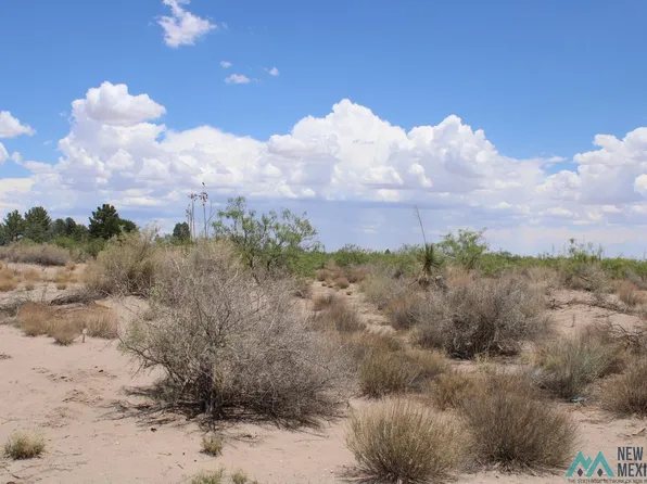 Tomorrow Land Ests, Deming, NM 88030