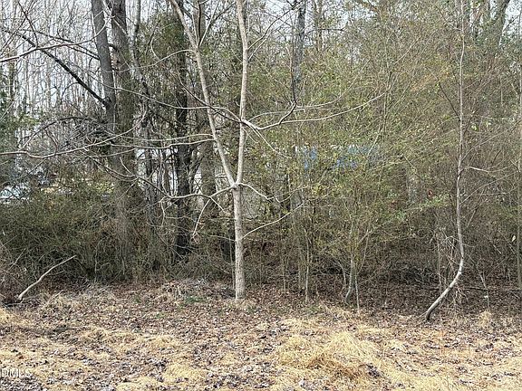 5th image of 1366 Ned Moore Rd Lot 47