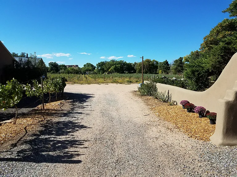 End of Driveway with vineyard beyond & rear-patio inside half-wall on right