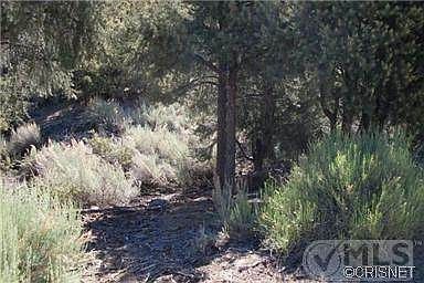 1st image of 2024 Woodland Dr