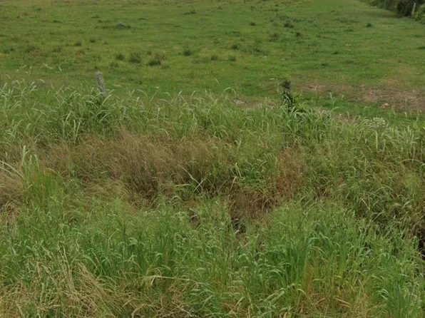County Road 321, Louise, TX 77455
