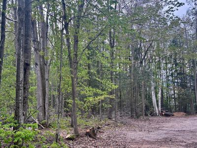 LOT 14 Brownwood Rd, Gaylord, MI, 49735