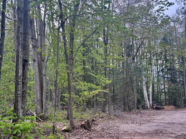 LOT 14 Brownwood Rd, Gaylord, MI 49735