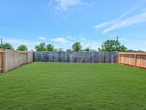 Backyard - May 13, 2026