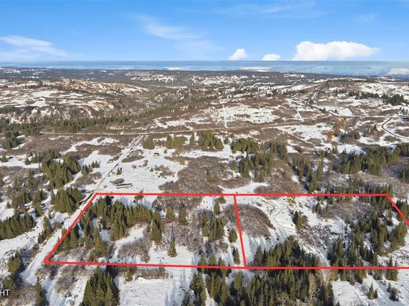 65135 Clyde Thomas Ave, Anchor Pt, AK 99556