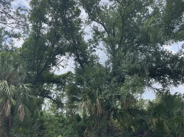Bellefonte Ave, North Port, FL 34286