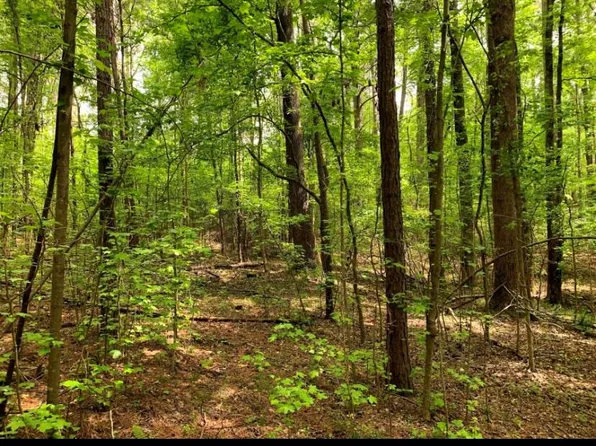 1476 Mount Vernon Rd, Lithia Springs, GA 30122