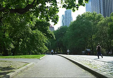 Rented by Luxian International Realty LLC