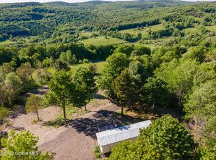 157 Mountain Point Rd, Summit, NY 12175