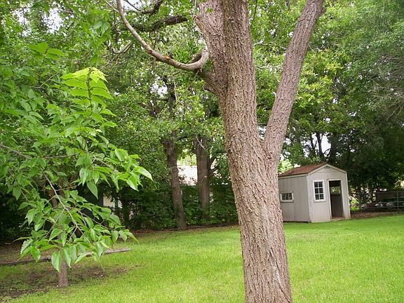 great park like back yard