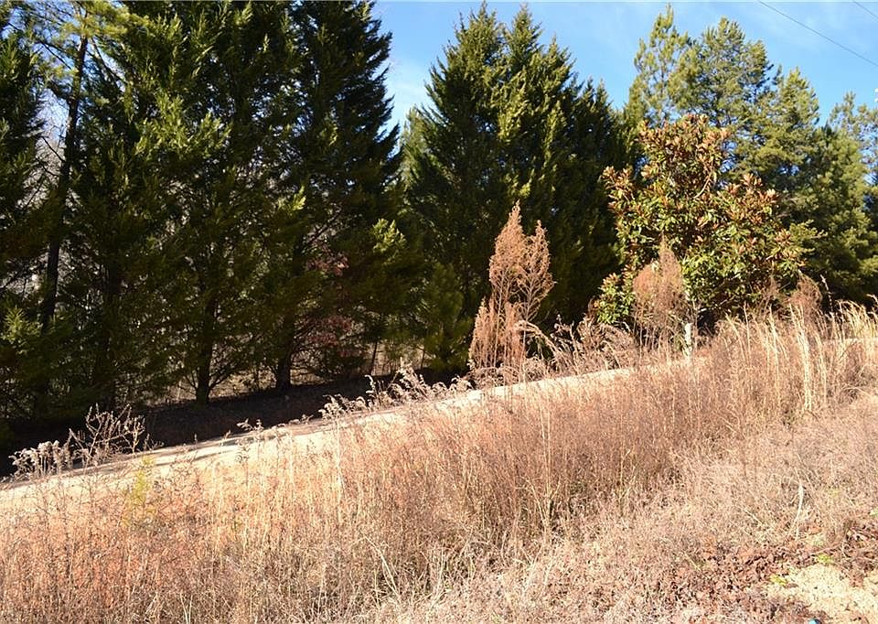 2nd image of 320 Laurel Branch Trl