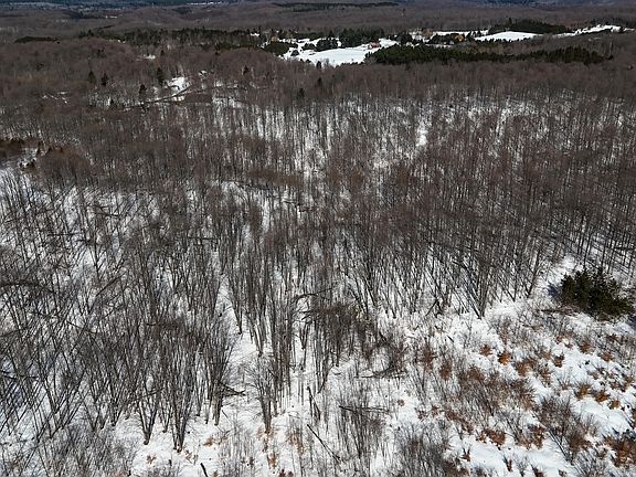 2nd image of Walker Rd NW