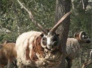 60150 Jolon Rd, King City, CA 93930