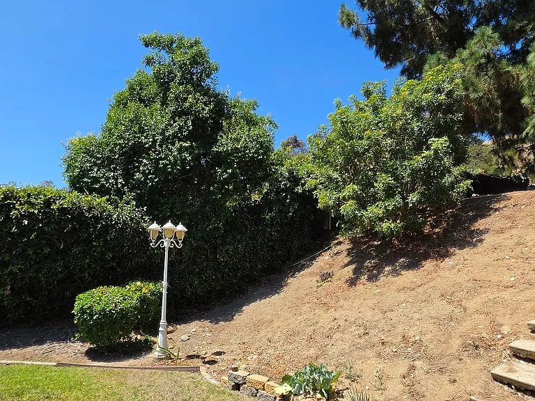 1524 Whitsett Dr — Photo 57