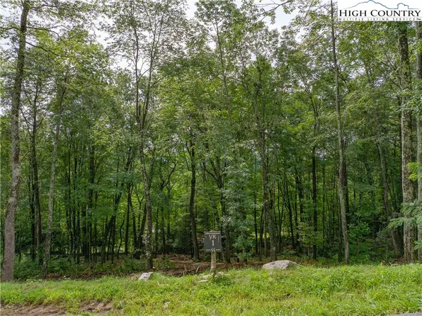 VR1 Red Sky Parkway, Elk Park, NC 28622