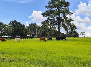 8385 S Pleasant Grove Rd LOT A, Inverness, FL 34452