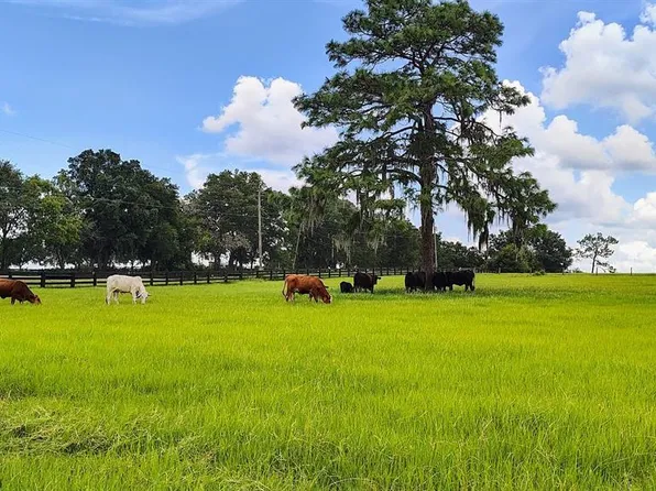 8385 S Pleasant Grove Rd Lot A, Inverness, FL 34452