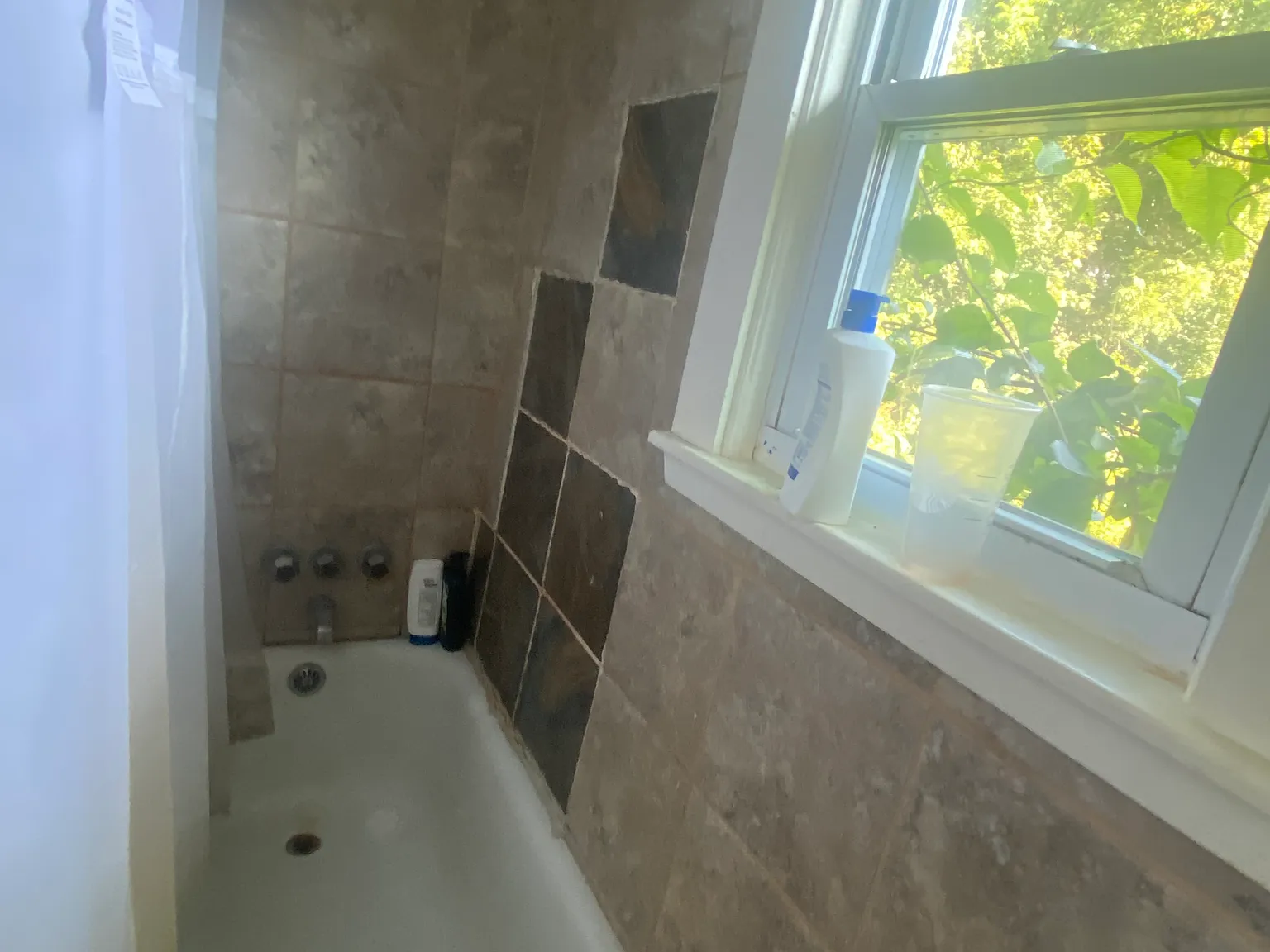 1 bed, $950 — Photo 1
