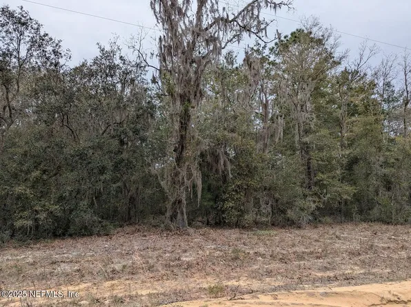 1010-0240 NEISMAN Avenue, Interlachen, FL 32148