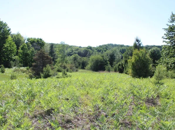 1 Griffin Rd, Boyne City, MI 49712