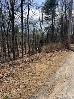 3rd image of 14 Old Country Road