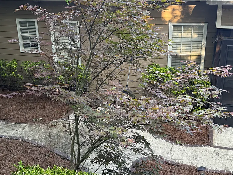 1601 Deer Valley Dr — Photo 29