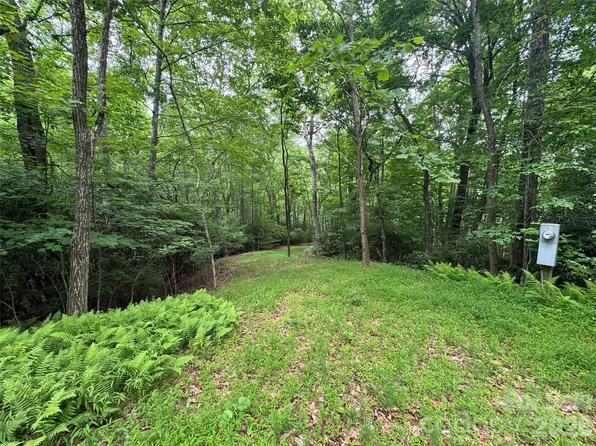 0 Chestnut Oak Ln, Pisgah Forest, NC 28768