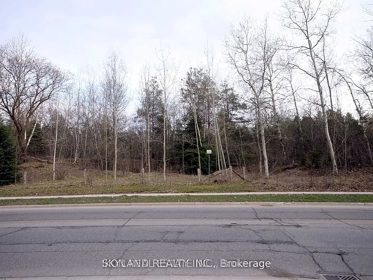 98 Henderson Dr — Photo 15