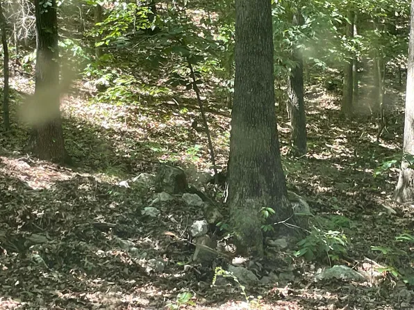 141 Duncan Ln, Poughkeepsie, AR 72569