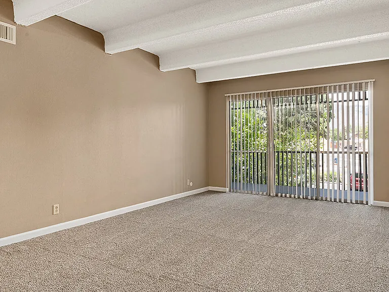 Carpeted Living Room