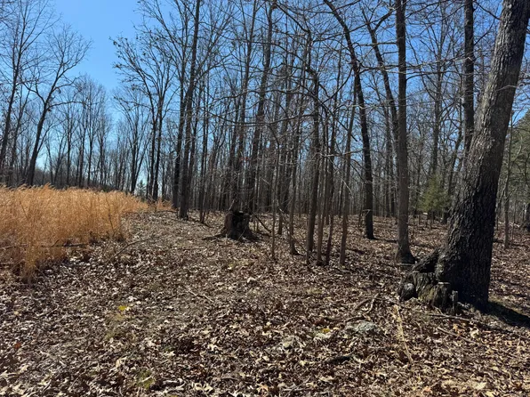 Tbd County Road 486, Birch Tree, MO 65438