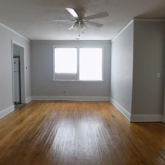 921 Texas St — Photo 2