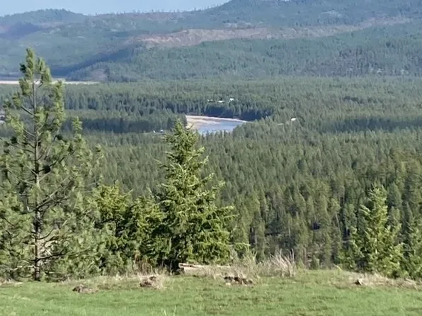 Xx Lyons Rd, Springdale, WA 99173