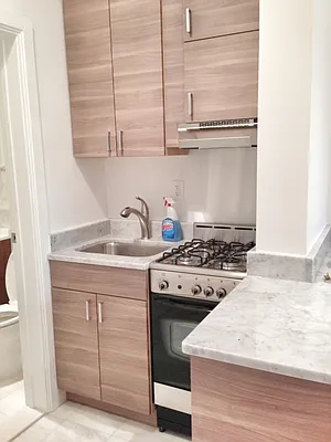 Rented by Citi Habitats | media 17