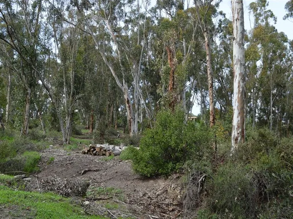 3845 Sweetwater Rd, Bonita, CA 91902