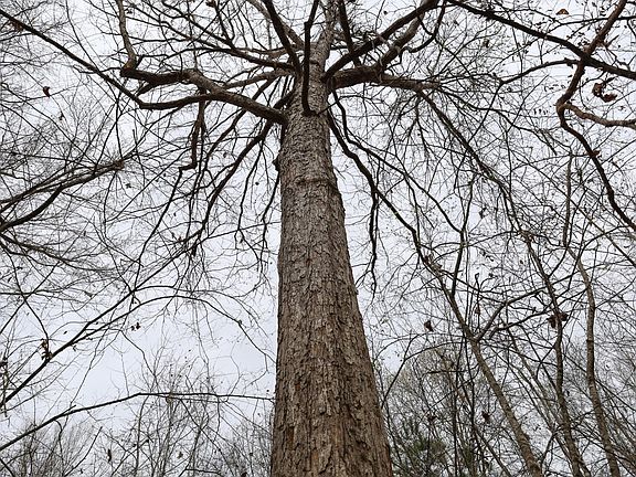 3rd image of Jaril Rd