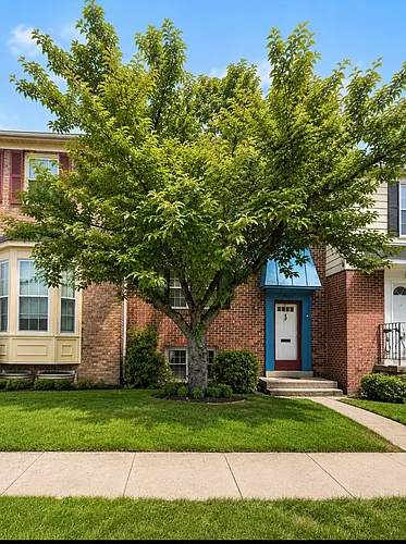 8105 Kenova Ln Photo 1