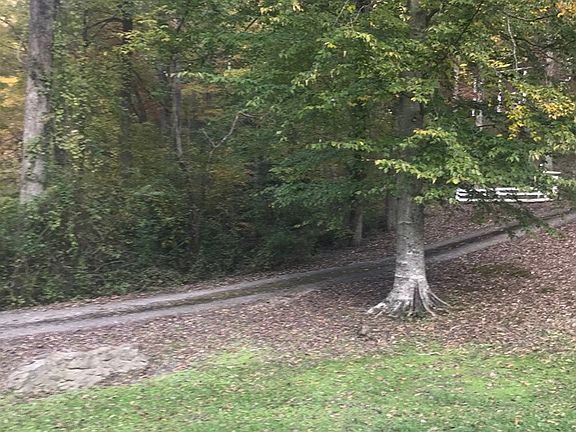 5th image of 81 Irish Green Ln