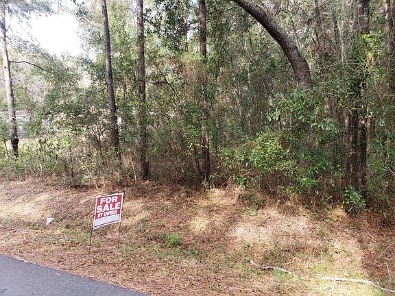 4th image of 4413 Slash Pine Ln