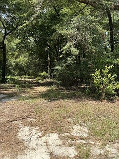 3rd image of 0 Smith Dr