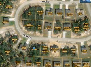 169 Sweet Pea Ct, Poinciana, FL 34759