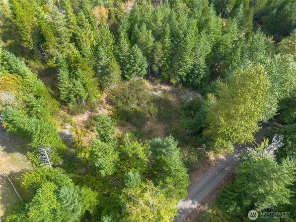 90044 XX E Mooreview Lane, Shelton, WA 98584