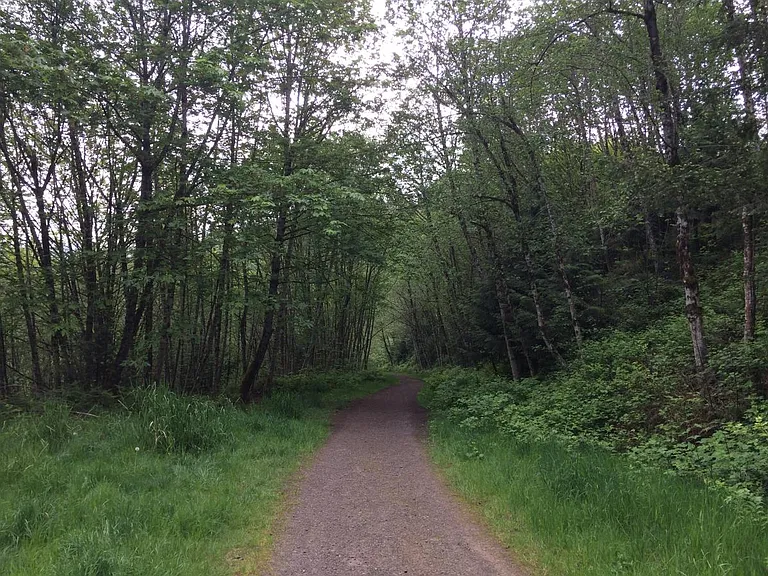 Trail to Sandy River