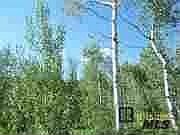 1st image of 3184 Aspen Wood Ln
