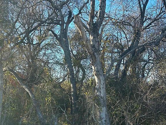 4th image of E County Road 2104