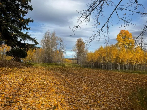 120053 Township Road 584 Lot 2, Woodlands County, AB T0E 0B0