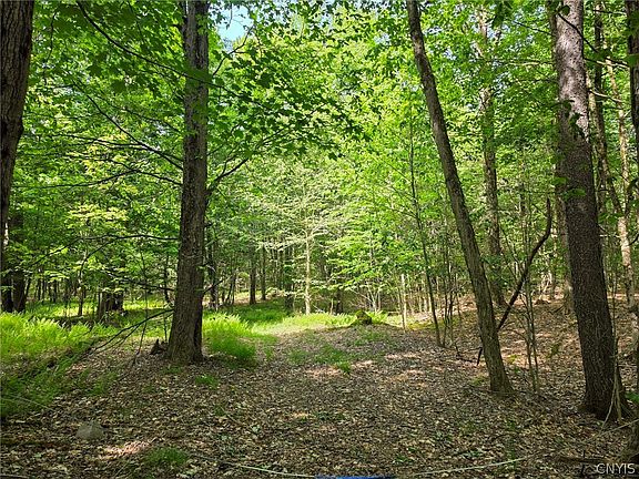 5th image of 2 Tamblin Ridge Trl #17